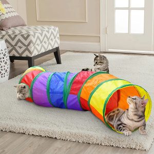 Opvouwbare kattentunnel